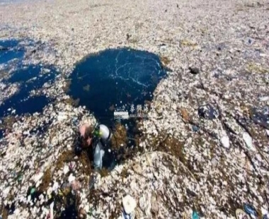 海洋塑料引发相关研究猛增！