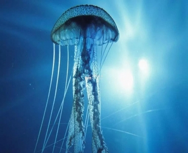 水下建筑丨水母螺旋城市